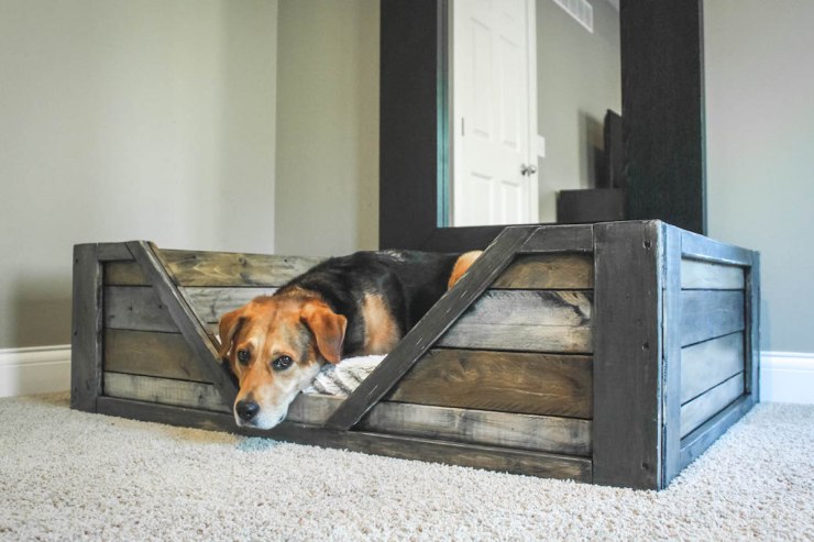 A-Dose-of-Simple-DIY-dog-bed